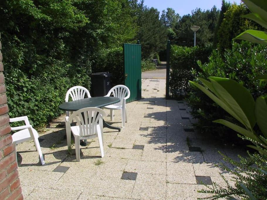 Lepelblad 37* Vakantiehuis Nieuwvliet