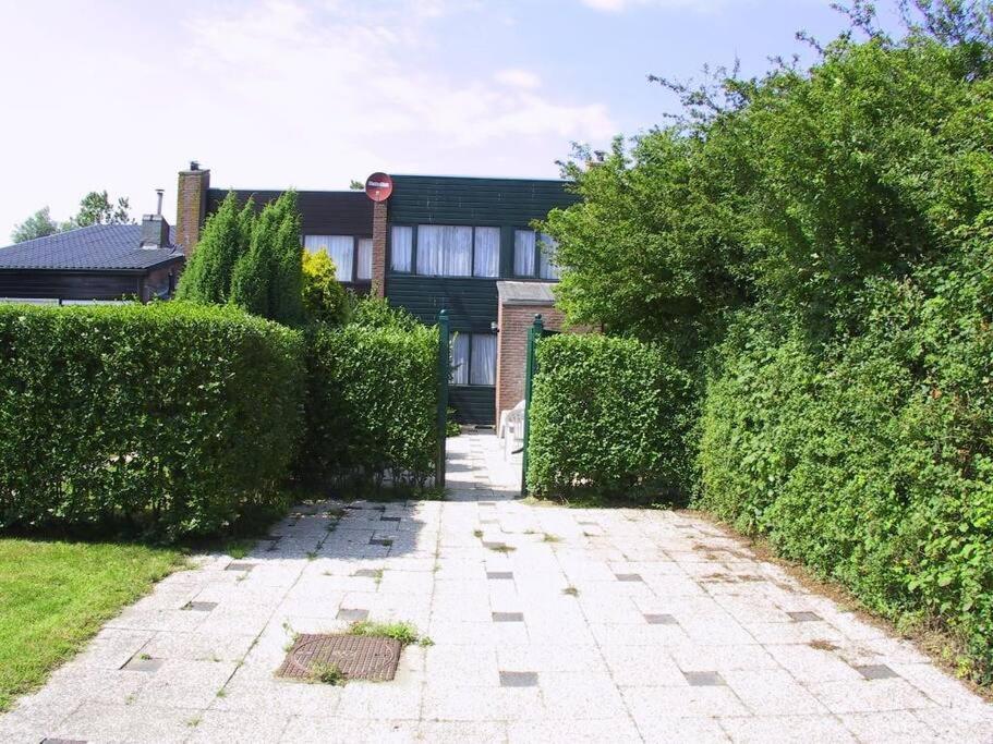 Lepelblad 37* * Nieuwvliet